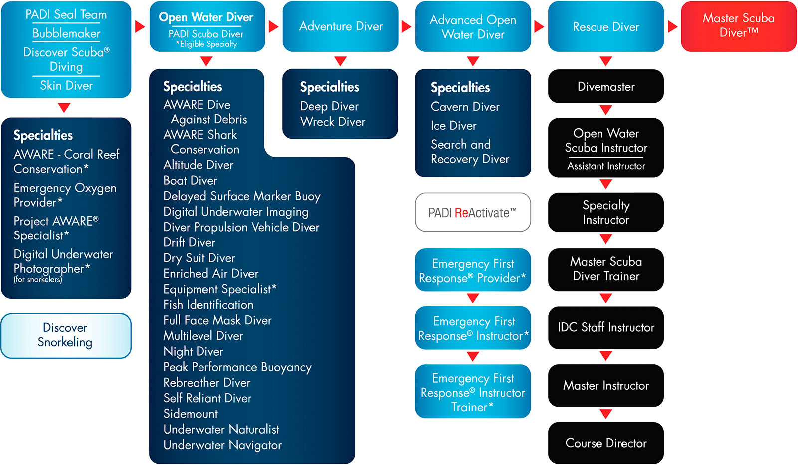 padi-course-chart-1