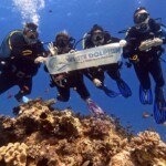 313408137_500180062127426_535296419145972572_n