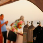 33377700_2240744172608199_7283648038705299456_n